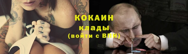 сатива Белая Холуница