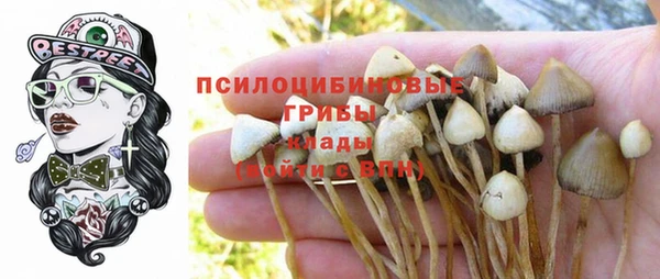 spice Абдулино